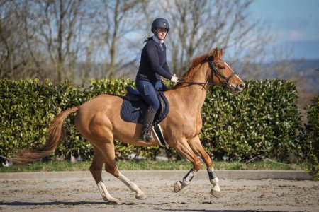 515510751_24917252087906564_8699966087129616597_n.jpg 515510751_24917252087906564_8699966087129616597_n.jpg