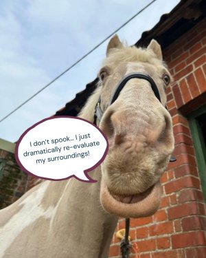 FB_IMG_1765825230924.jpg FB_IMG_1765825230924.jpg