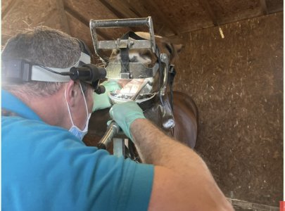 IMG_3119.jpeg IMG_3119.jpeg