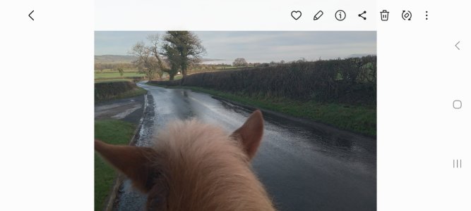 1000008030.jpg 1000008030.jpg