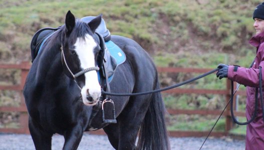 a2416fc6-9212-4a99-90f6-19a5f0039e87.jpeg a2416fc6-9212-4a99-90f6-19a5f0039e87.jpeg