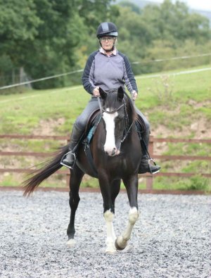 8affe052-c0f9-40cd-93ad-d6057ef9ad8b.jpg 8affe052-c0f9-40cd-93ad-d6057ef9ad8b.jpg