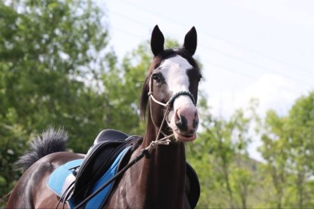 mykasmall6.jpg mykasmall6.jpg