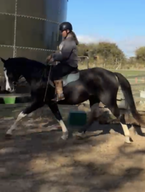 IMG_4576.PNG IMG_4576.PNG