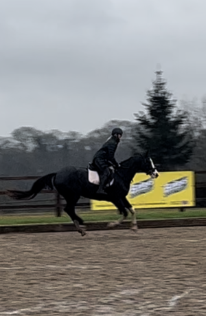 IMG_5357.PNG IMG_5357.PNG