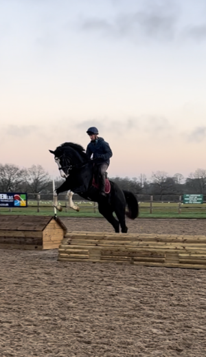 unnamed small .png unnamed small .png