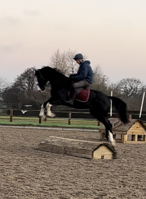 IMG small 5437.PNG IMG small 5437.PNG