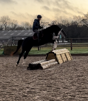 IMG small 5436.PNG IMG small 5436.PNG