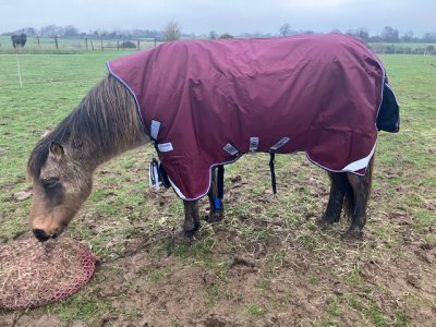 IMG_2659.jpeg IMG_2659.jpeg