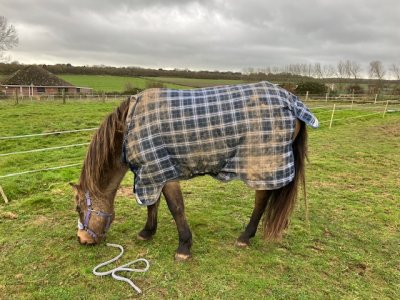 IMG_2628.jpeg IMG_2628.jpeg