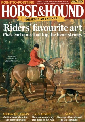 IMG_3137.jpeg IMG_3137.jpeg