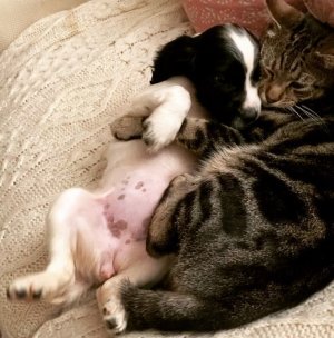 IMG_4271.jpeg IMG_4271.jpeg