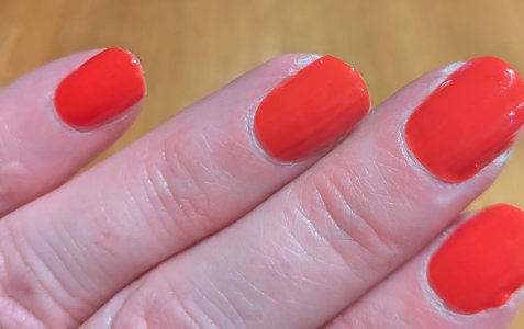 PXL_20251224_180825136.jpg PXL_20251224_180825136.jpg