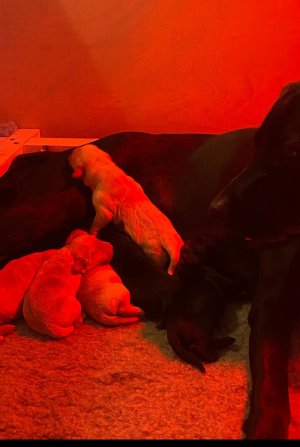 1000038385.jpg 1000038385.jpg