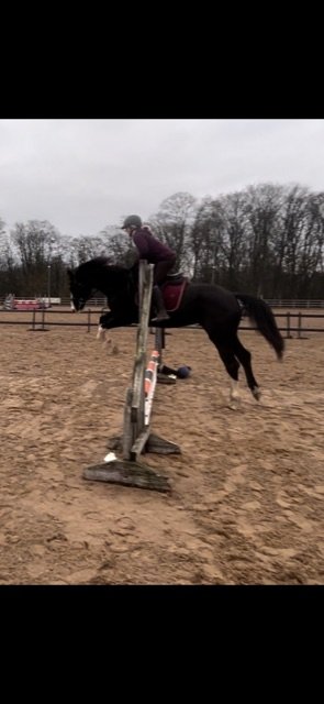 D86B73A7-4B42-4DF8-ADEF-5F8CF9499448.jpeg D86B73A7-4B42-4DF8-ADEF-5F8CF9499448.jpeg