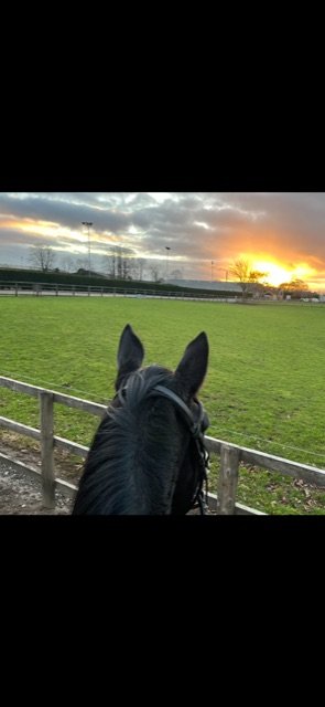 07766FB0-4400-4622-9394-91BA376EEB63.jpeg 07766FB0-4400-4622-9394-91BA376EEB63.jpeg