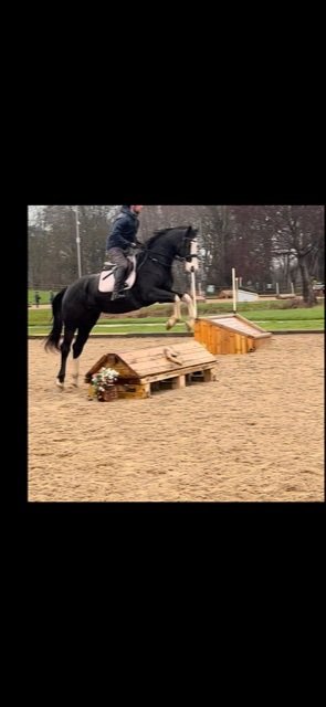 D461FBB0-8632-480C-B591-02E9A187D9CD.jpeg D461FBB0-8632-480C-B591-02E9A187D9CD.jpeg