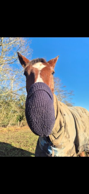 Screenshot_20260111_133626_Gallery.jpg Screenshot_20260111_133626_Gallery.jpg