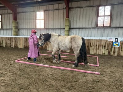 IMG_6524.jpeg IMG_6524.jpeg