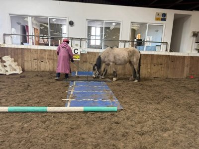 IMG_6528.jpeg IMG_6528.jpeg