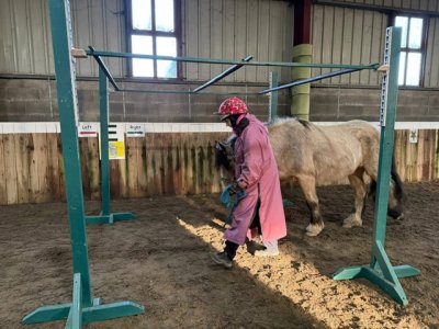 IMG_6530.jpeg IMG_6530.jpeg