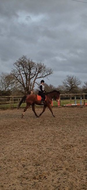 Screenshot_20260112_210554_Video Player.jpg