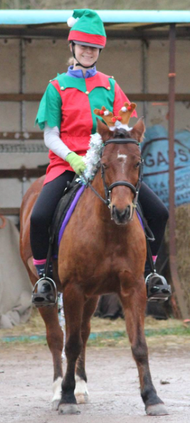 Screenshot 2026-01-23 15.51.14.png