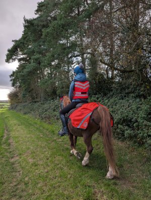 594407492218941595.jpeg 594407492218941595.jpeg