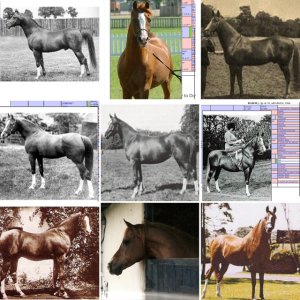 4421D15D-D5C4-467C-AD7A-3B48BF680737.jpeg 4421D15D-D5C4-467C-AD7A-3B48BF680737.jpeg