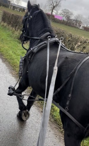 1769377091477.jpeg 1769377091477.jpeg