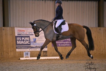 IMG_3129.jpeg IMG_3129.jpeg