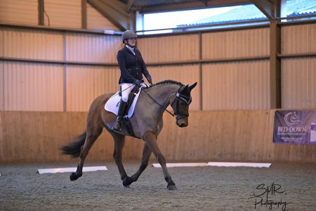 IMG_3127.jpeg IMG_3127.jpeg