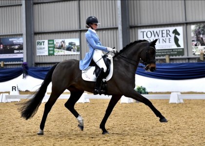 IMG_8156.jpeg IMG_8156.jpeg