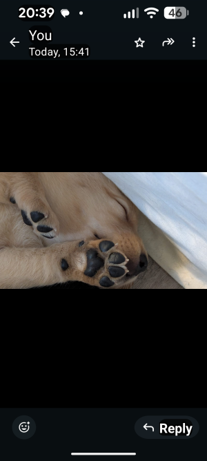 1000039851.png 1000039851.png