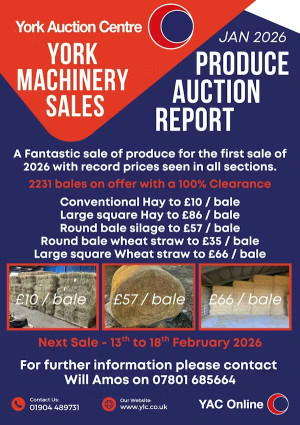 1769796889010.png 1769796889010.png