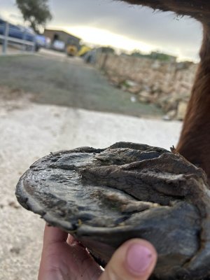 AE3D1E4B-1DED-43F4-9B01-DB3999A11ED6 copy.jpg