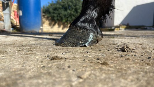 7D1DE5BB-6C01-4D79-BEF5-C2C88B6CCCE0 copy.jpg