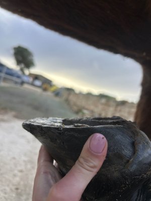 CA6B8A9E-62FF-4835-8804-9FC3CDABF680 copy.jpg