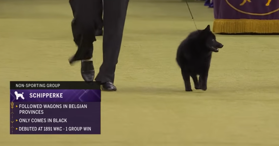 Screenshot 2026-02-03 200358.png Screenshot 2026-02-03 200358.png