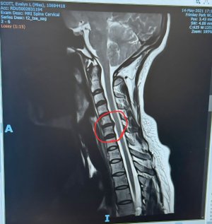 WhatsApp Image 2026-02-07 at 15.57.23.jpeg