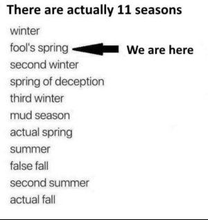 1771012834276.jpeg 1771012834276.jpeg