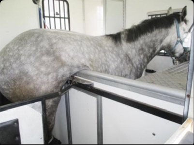 IMG_3340.jpeg IMG_3340.jpeg