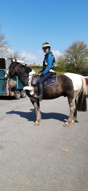 Mojo's tide line from East Bank plantation.JPG