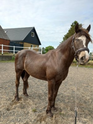 Messenger_creation_28976EFE-E95C-4333-B73E-07CA7F34EA63.jpeg Messenger_creation_28976EFE-E95C-4333-B73E-07CA7F34EA63.jpeg