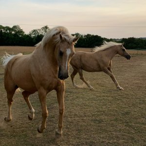 F5013FE2-ED4F-4EF4-8D8D-7F0BCDB18885.jpeg F5013FE2-ED4F-4EF4-8D8D-7F0BCDB18885.jpeg