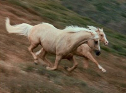 IMG_5138.jpeg IMG_5138.jpeg