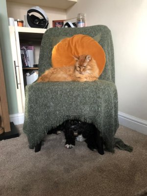 f65a2a95-ad59-490c-839c-9b168604582e.jpeg f65a2a95-ad59-490c-839c-9b168604582e.jpeg