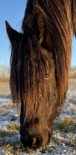 IMG_9206.jpeg IMG_9206.jpeg