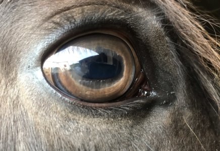 IMG_9204.jpeg IMG_9204.jpeg