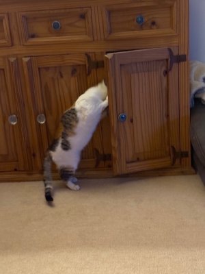 IMG_6179.jpeg IMG_6179.jpeg